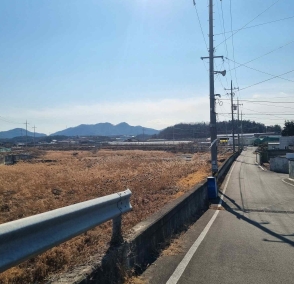 경상북도 영천시 대창면 강회리 159 답 경매 사진 6