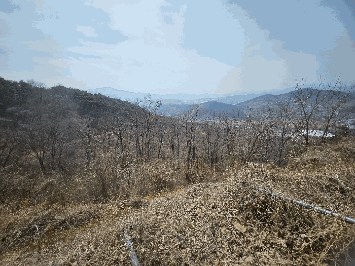 경상북도 청도군 화양읍 삼신리 1011 외 29필지 근린생활시설 경매 사진 63
