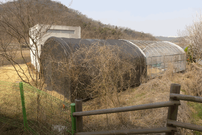 대구광역시 수성구 삼덕동 25-2 외 2필지 답 경매 사진 13