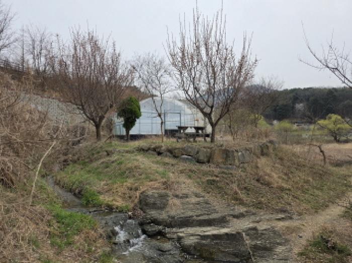 대구광역시 수성구 삼덕동 25-2 외 2필지 답 경매 사진 5
