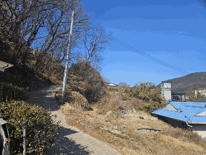 대구광역시 동구 봉무동 949 외 2필지 대지 경매 사진 5
