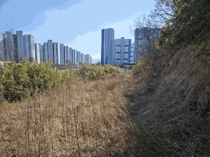 대구광역시 동구 봉무동 949 외 2필지 대지 경매 사진 6