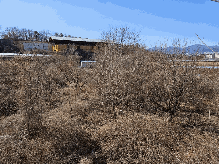 경상북도 경산시 진량읍 평사리(平沙里) 521 답 경매 사진 4