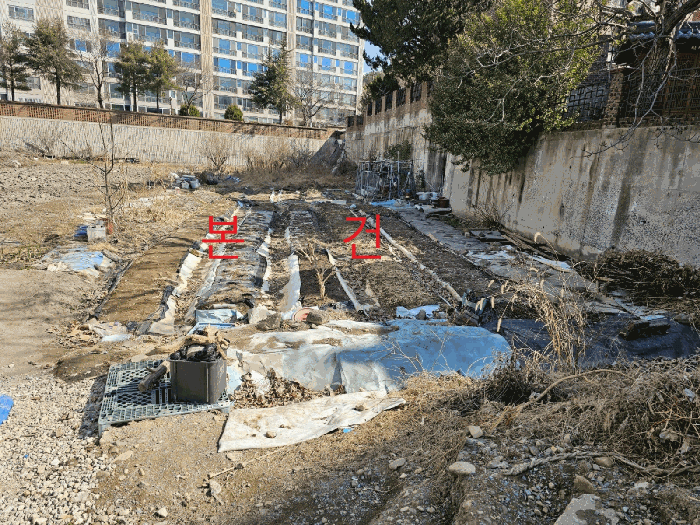 대구광역시 동구 지묘동 239 답 경매 사진 9