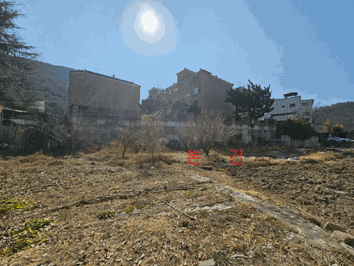 대구광역시 동구 지묘동 239 답 경매 사진 11