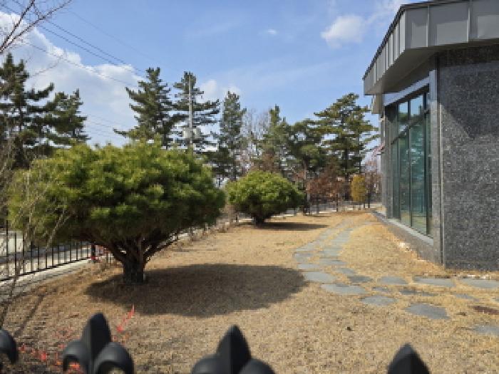 경상북도 영천시 오미동 368-35 주택 경매 사진 11