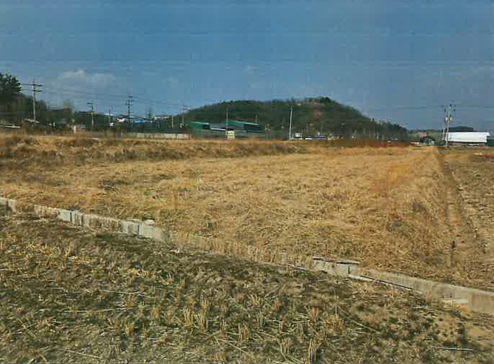 경상북도 경산시 하양읍 동서리 1000 전답 경매 사진 2