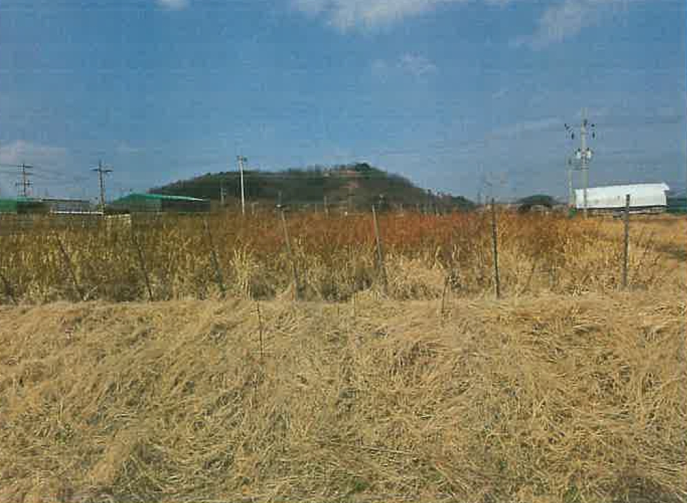 경상북도 경산시 하양읍 동서리 1000 전답 경매 사진 3