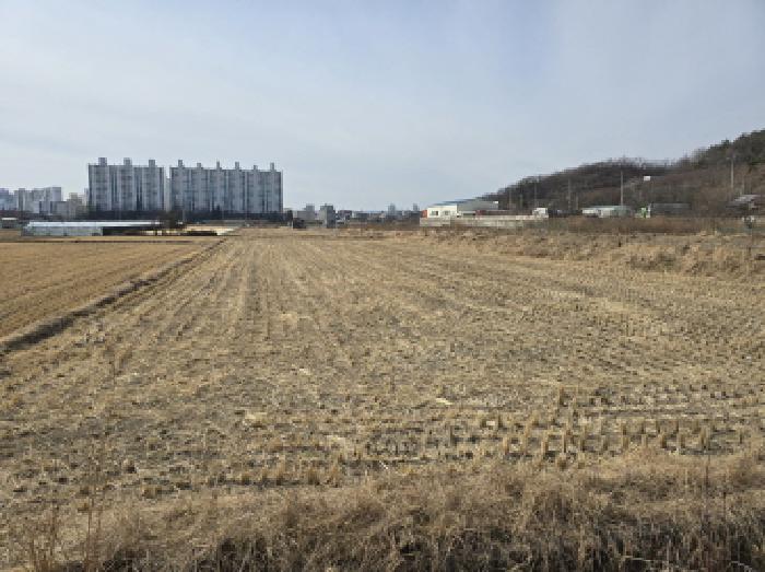 경상북도 경산시 하양읍 동서리 1000 전답 경매 사진 10