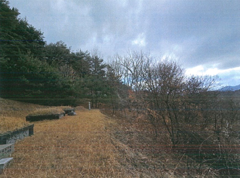 경상북도 경산시 남천면 산전리 산150 임야 경매 사진 4