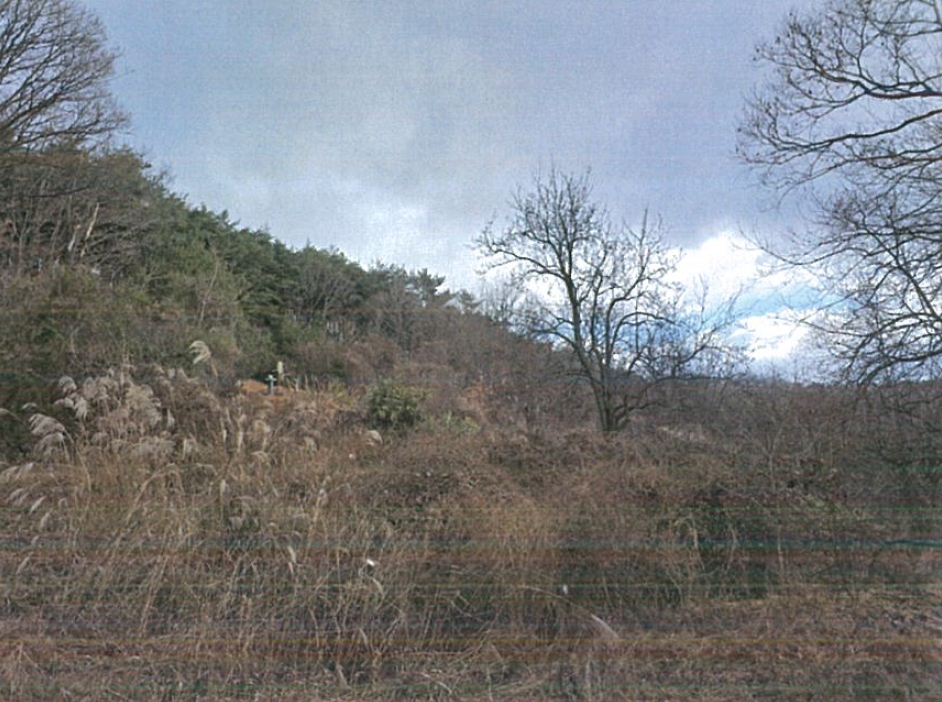 경상북도 경산시 남천면 산전리 산150 임야 경매 사진 5