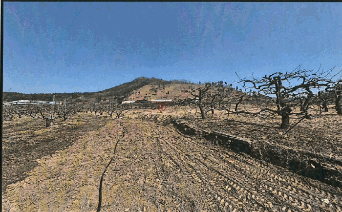 경상북도 영천시 대창면 조곡리 441-2 답 경매 사진 10