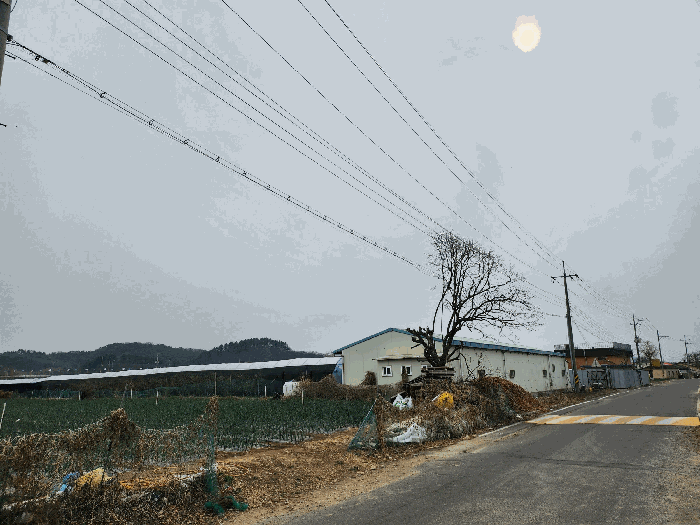 경상북도 영천시 조교동 69 외 2필지 창고시설 경매 사진 17