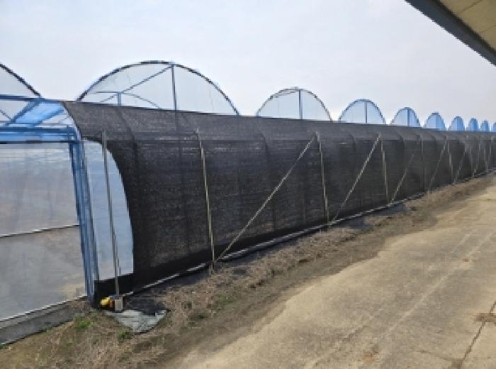 경상북도 영천시 조교동 69 외 2필지 창고시설 경매 사진 4