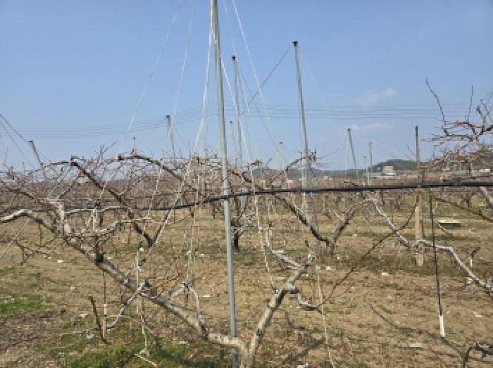 경상북도 영천시 임고면 덕연리 279 외 3필지 전 경매 사진 1