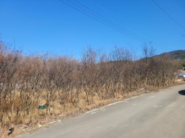 경상북도 성주군 대가면 칠봉리 1052 답 경매 사진 16