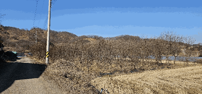 경상북도 성주군 대가면 칠봉리 1052 답 경매 사진 18