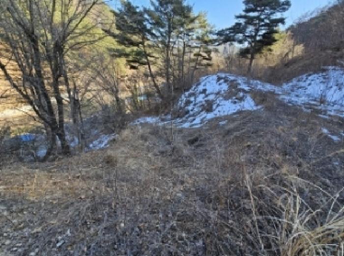 경상북도 봉화군 소천면 분천리 696 외 5필지 답 경매 사진 18