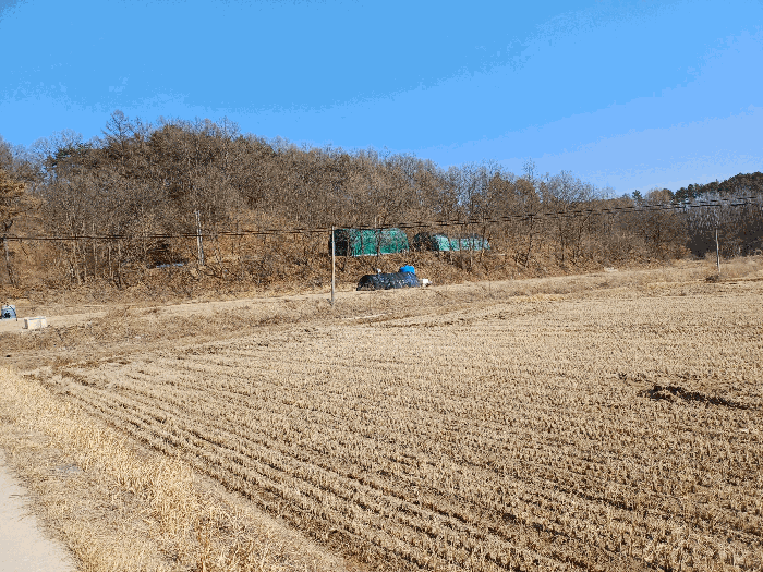 경상북도 안동시 와룡면 이상리 산99-2 임야 경매 사진 29