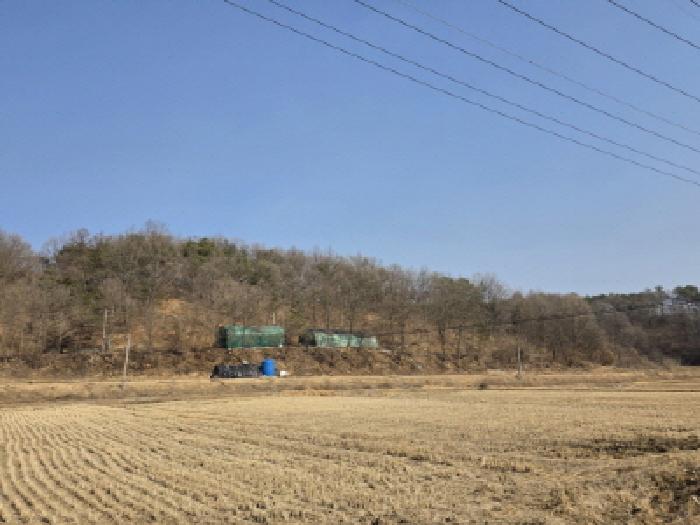경상북도 안동시 와룡면 이상리 산99-2 임야 경매 사진 21