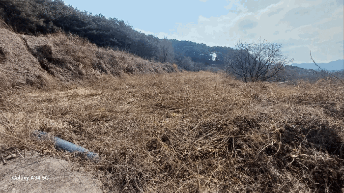 경상북도 안동시 풍천면 가곡리 440-1 외 4필지 전 경매 사진 14