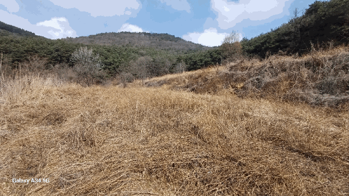 경상북도 안동시 풍천면 가곡리 440-1 외 4필지 전 경매 사진 18