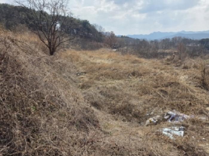 경상북도 안동시 풍천면 가곡리 440-1 외 4필지 전 경매 사진 5