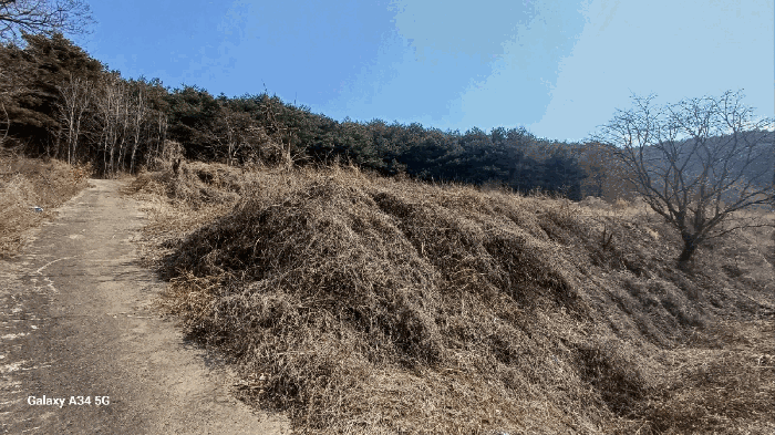 경상북도 안동시 풍천면 가곡리 440-1 외 4필지 전 경매 사진 8