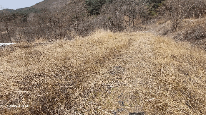 경상북도 안동시 풍천면 가곡리 440-1 외 4필지 전 경매 사진 9