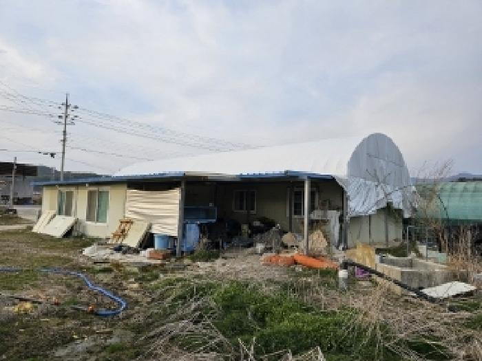 경상북도 봉화군 물야면 북지리 188-2 외 2필지 답 경매 사진 16