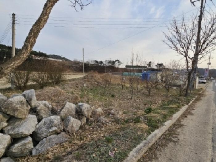경상북도 봉화군 물야면 북지리 188-2 외 2필지 답 경매 사진 24