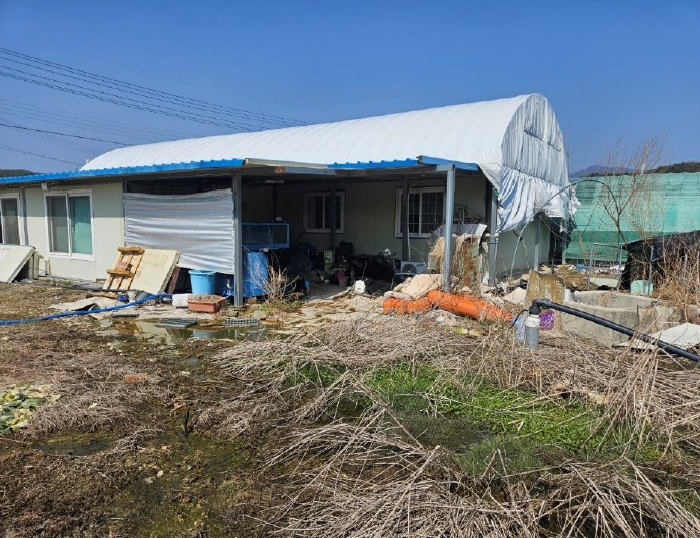 경상북도 봉화군 물야면 북지리 188-2 외 2필지 답 경매 사진 7