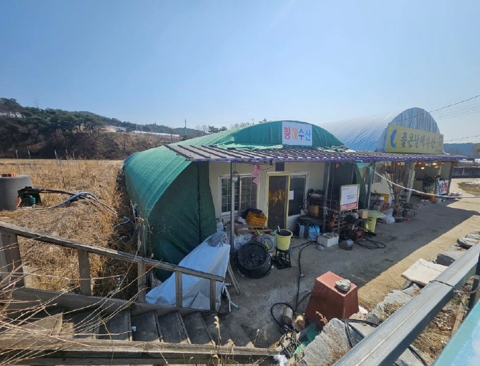 경상북도 봉화군 물야면 북지리 188-2 외 2필지 답 경매 사진 9