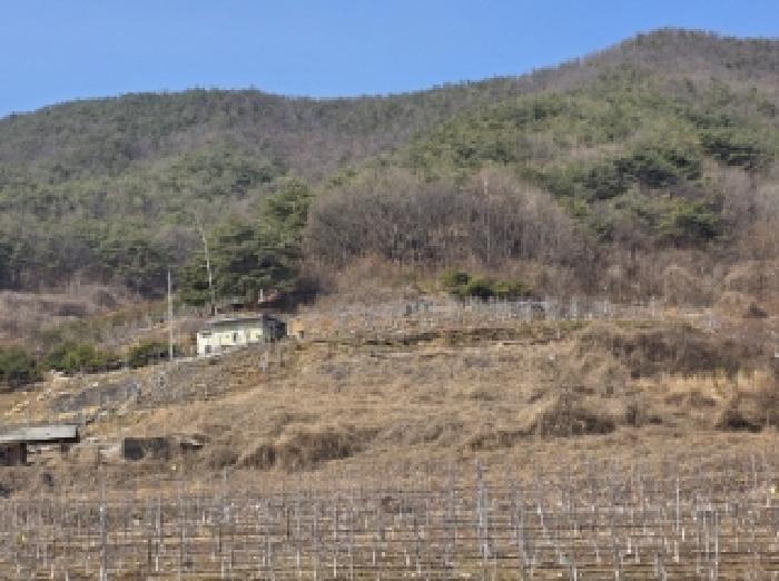 경상북도 안동시 길안면 배방리 100-1 전 경매 사진 2