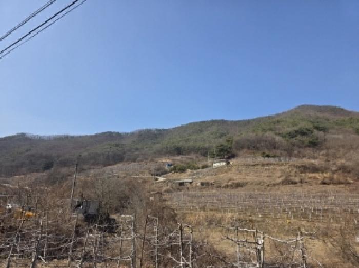 경상북도 안동시 길안면 배방리 100-1 전 경매 사진 3