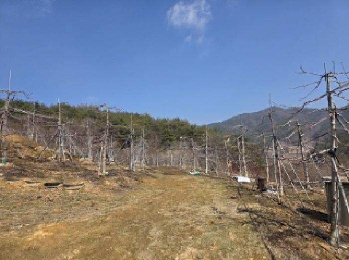경상북도 안동시 길안면 배방리 100-1 전 경매 사진 5