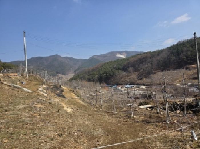 경상북도 안동시 길안면 배방리 100-1 전 경매 사진 6