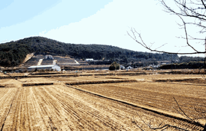 경상북도 경주시 천북면 화산리 756-3 외 4필지 공장용지 경매 사진 26