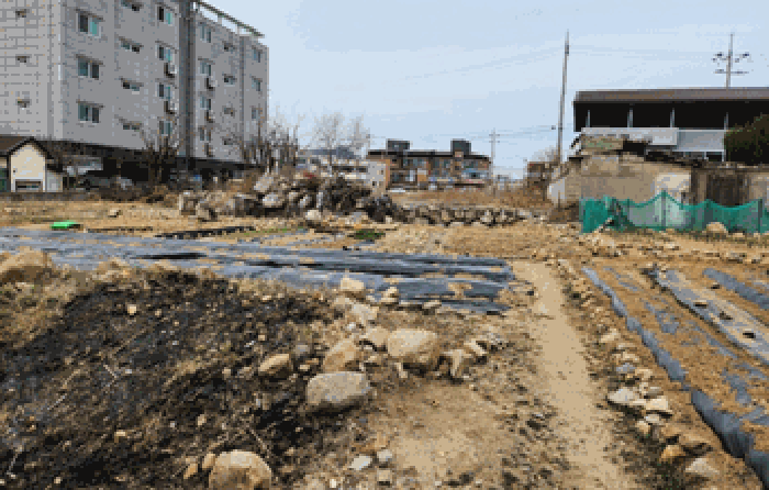 경상북도 경주시 외동읍 입실리 885-16 외 4필지 전 경매 사진 13