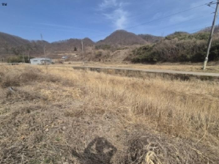 경상북도 경주시 양남면 석읍리 331 외 4필지 답 경매 사진 2