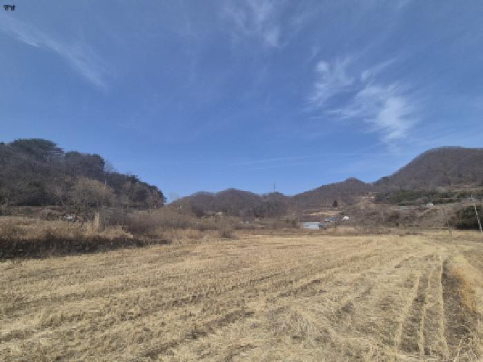 경상북도 경주시 양남면 석읍리 331 외 4필지 답 경매 사진 3
