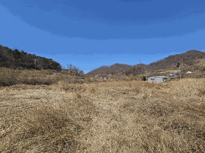 경상북도 경주시 양남면 석읍리 331 외 4필지 답 경매 사진 4