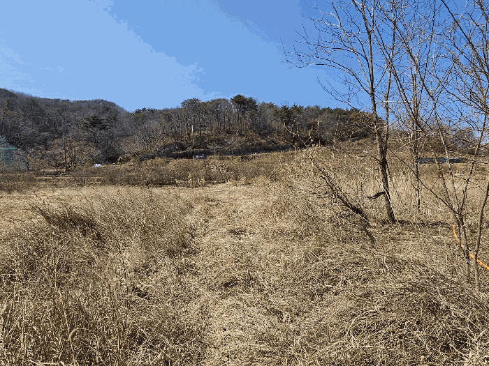 경상북도 경주시 양남면 석읍리 331 외 4필지 답 경매 사진 6