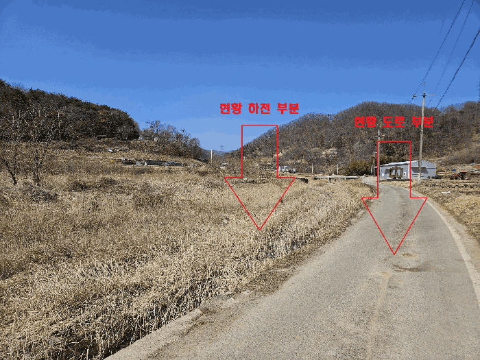 경상북도 경주시 양남면 석읍리 331 외 4필지 답 경매 사진 7