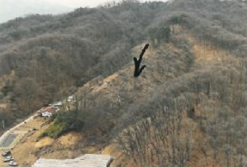 경상북도 김천시 봉산면 덕천리 산47-14 임야 경매 사진 29