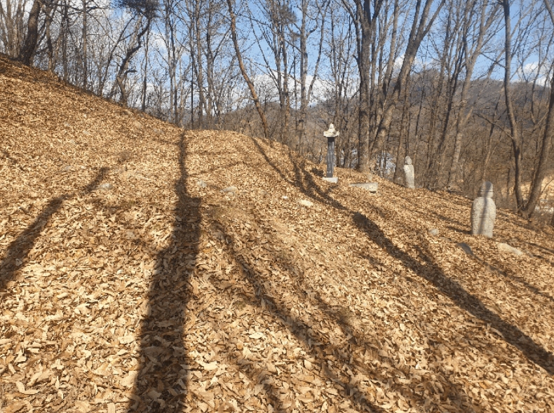 경상북도 김천시 봉산면 덕천리 산47-14 임야 경매 사진 22