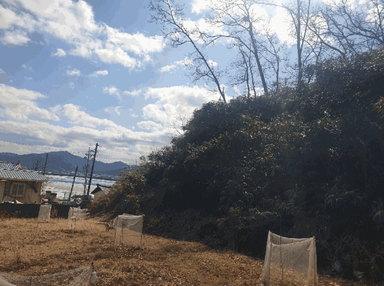 경상북도 김천시 봉산면 덕천리 산47-14 임야 경매 사진 25