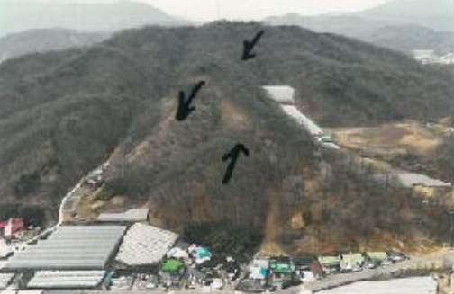 경상북도 김천시 봉산면 덕천리 산47-14 임야 경매 사진 27