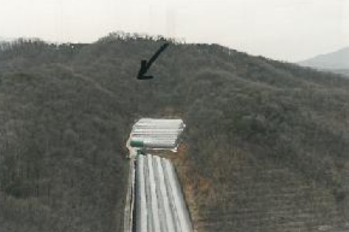 경상북도 김천시 봉산면 덕천리 산47-14 임야 경매 사진 28