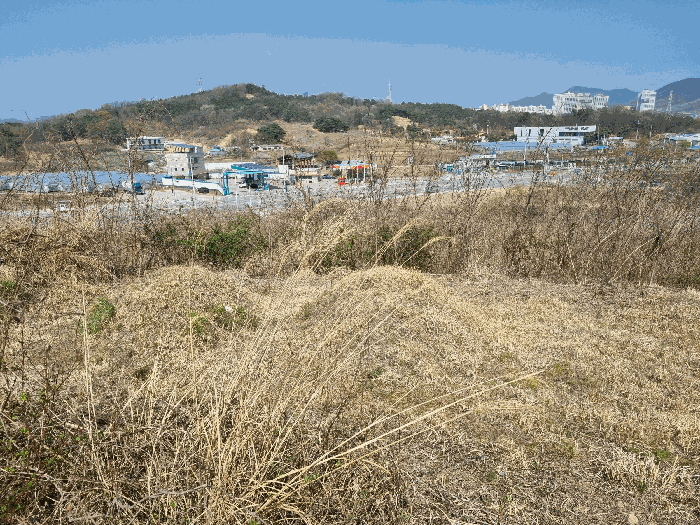 경상북도 김천시 농소면 월곡리 1133 외 3필지 답 경매 사진 7